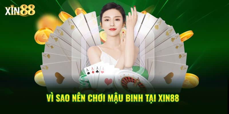 Mậu binh 3